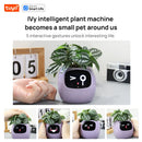 Jardinière intelligente IA – Cultivez vos plantes facilement grâce à la technologie Tuya
